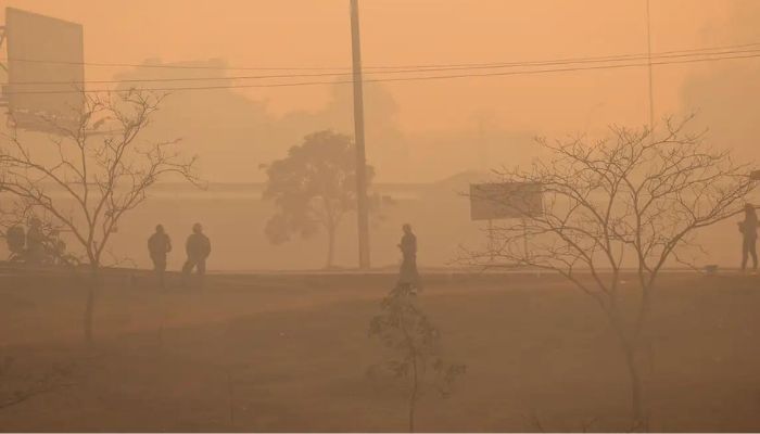 Especialista do Inca alerta para risco da fumaça das queimadas à saúde